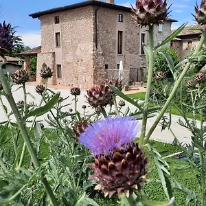  Séjour à la ferme Corte Davini